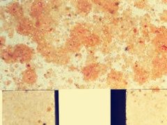 耐火材料玻璃窯用硅磚有哪些性能要求？